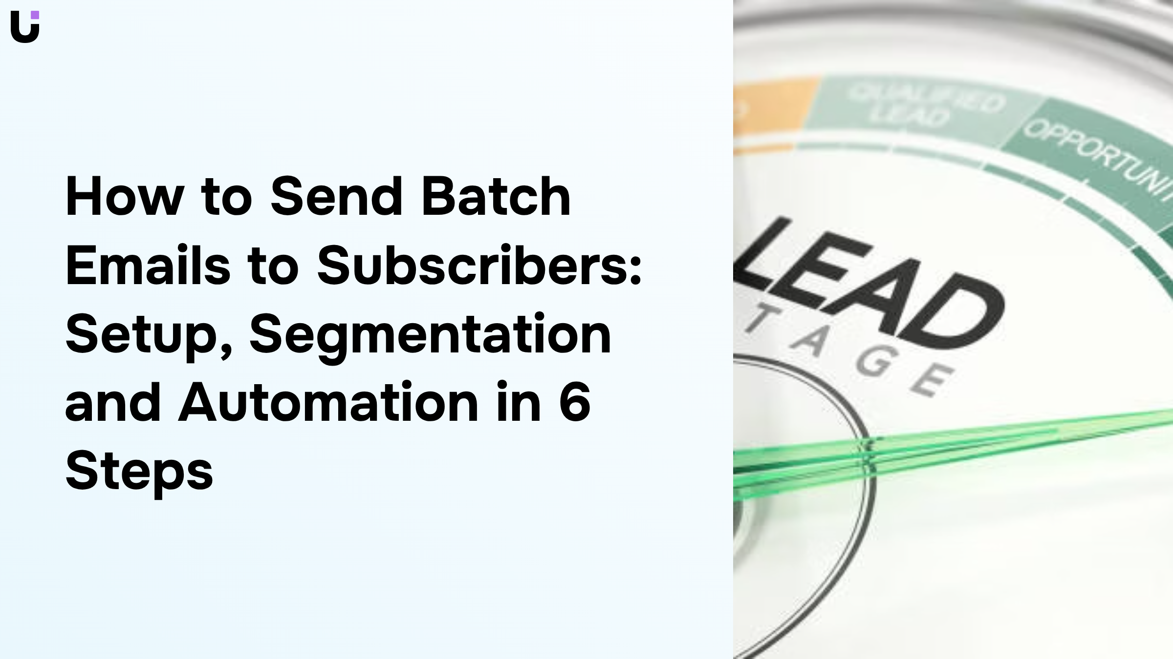 Professional email marketing dashboard showing subscriber segmentation and batch automation workflow on modern workspace