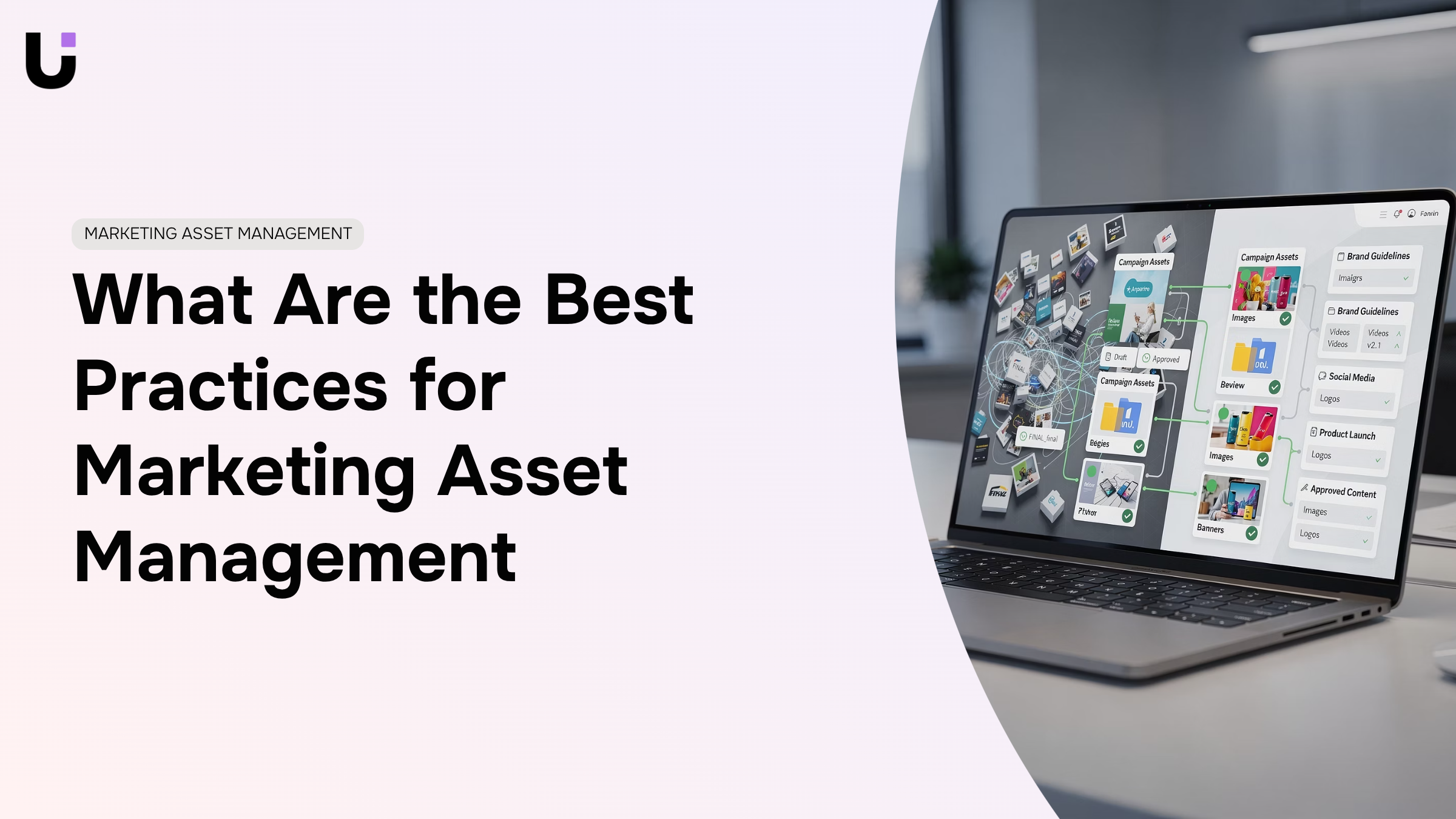 Organized digital asset management workspace with clean interface and marketing materials